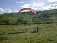 ��n�t���C�g