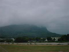 �e�C�N�I�t�̌i�F