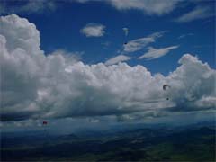 �`�[���t���C�g