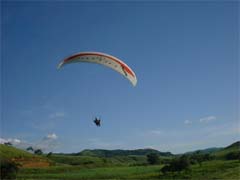 �I�M�t���C�g