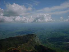 �e�C�N�I�t